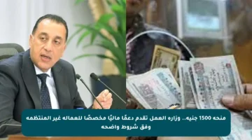 منحة 1500 جنيه.. وزارة العمل تقدم دعمًا ماليًا مخصصًا للعمالة غير المنتظمة وفق شروط واضحة